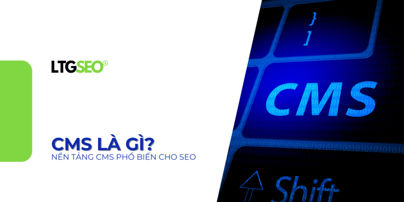 cms la gi ltgseo vn