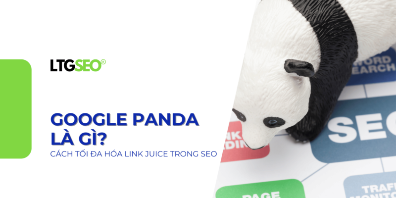 google panda ltgseo vn