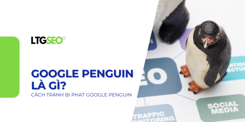 google penguin ltgseo vn