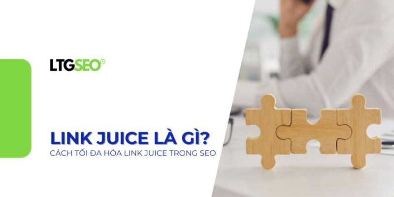 link juice ltgseo vn