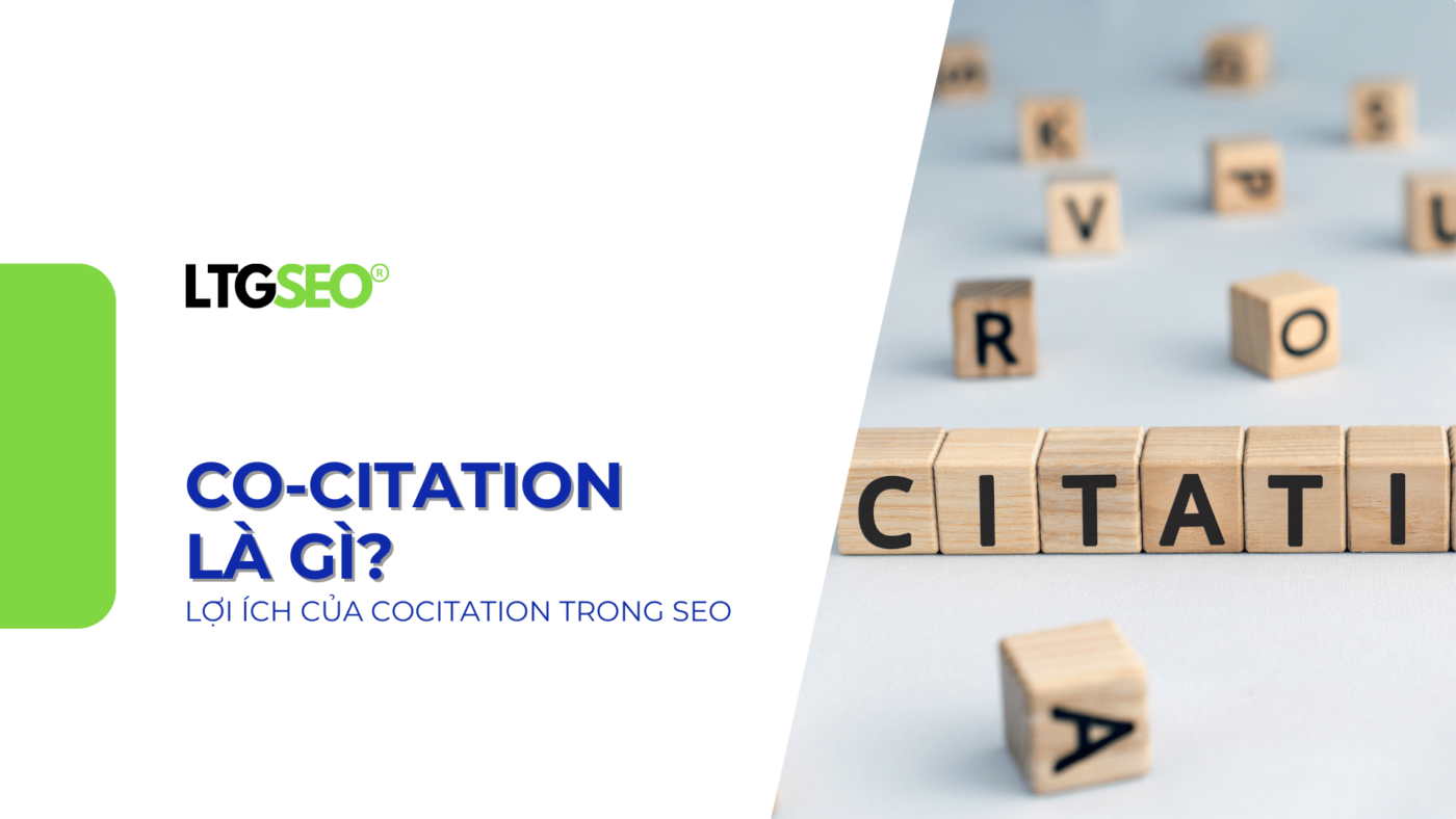 Co Citation ltgseo vn