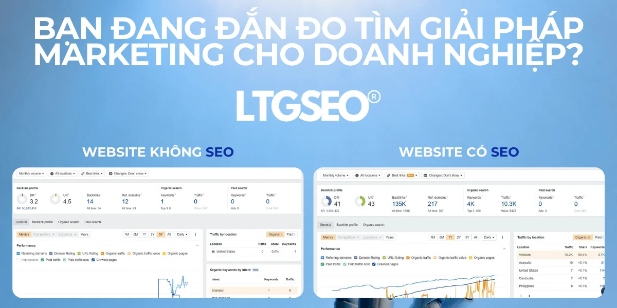 dich vu seo tong the ltgseo vn
