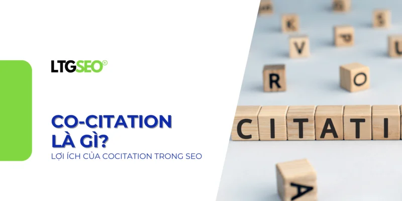 Co Citation ltgseo vn