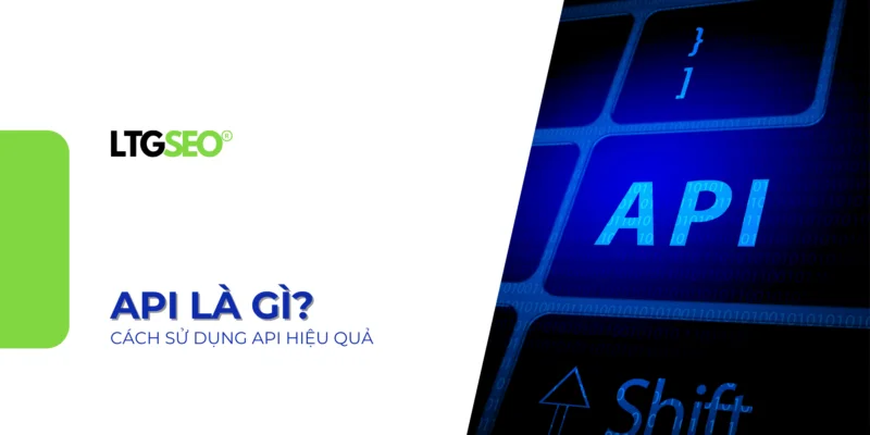 api la gi ltgseo vn