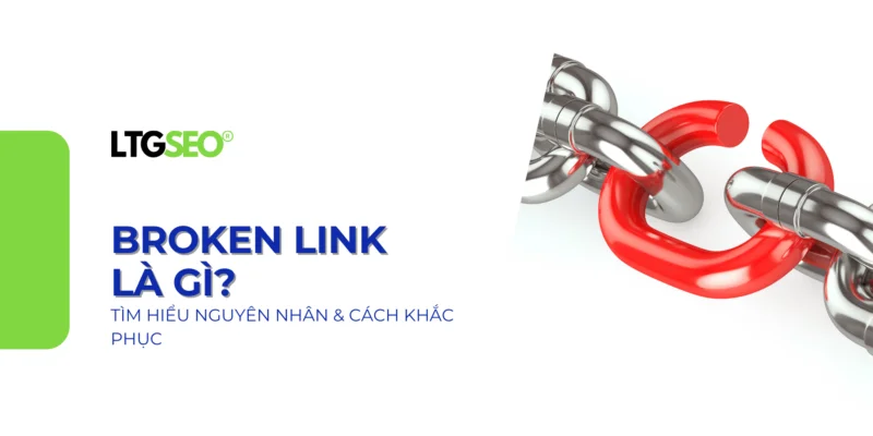 broken link ltgseo vn