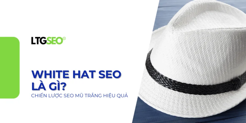 seo mu trang ltgseo vn